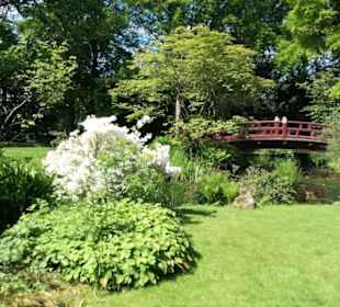 Japanischer Garten Leverkusen