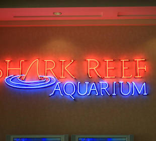 Eingangsbereich Shark Reef