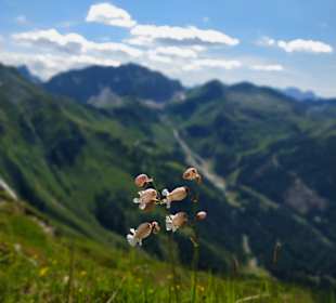 Wandern Obertilliach