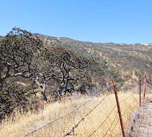 Einzäunung wg dem Vieh!