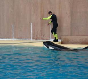 Shows und Unterhaltung