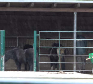 Tierpark 