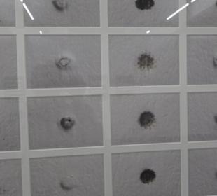 Sammlung für Konkrete Kunst