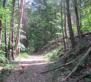 Westwallweg Oberotterbach