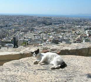 Panorama dall'acropoli