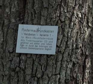 Eduard Lucas Musterobstgarten Mähringen