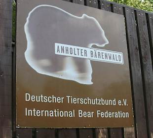 Der Bärenpark/Wald