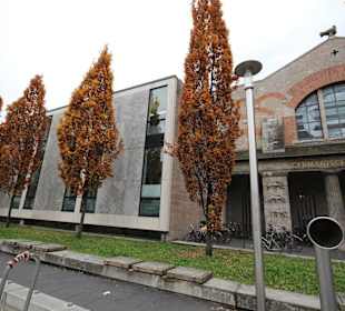 Alte und neue Bauten des Museums 