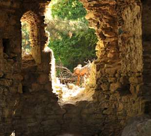 Jeep Safari Kusadasi