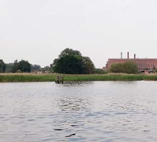 Apollo Tagestour zur Greifswalder Oie 