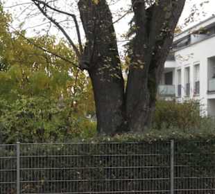 Gmindersdorf
