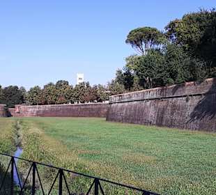 Stadtmauer Lucca