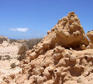 Termitenbau an der Westküste