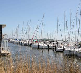 Yachthafen Lauterbach