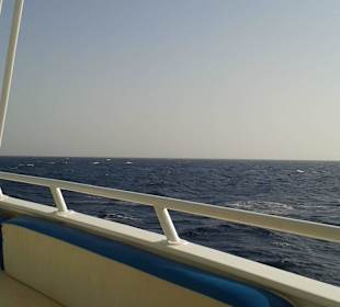 Relaxen auf dem Schiff mit max. 25 Personen