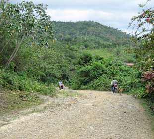 Landschaft Punta Cana