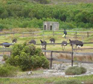 Kap der Guten Hoffnung