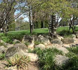 Japangarten Stuttgart