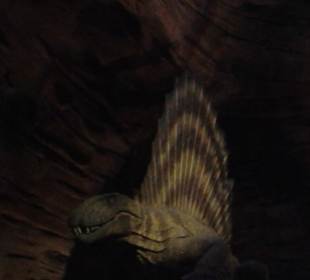 Es gab viel zu entdecken