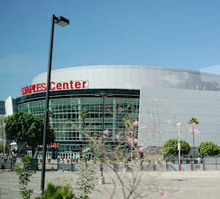 Mit Starline Tours durch LA