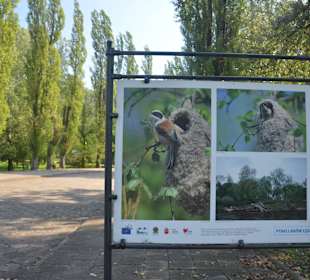 Zoo