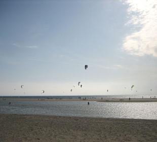 Strand bei Tarifa