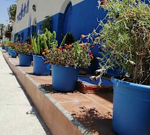 Stadtrundgang Taghazout 