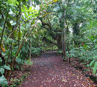 Impressionen aus dem Jardin des Parfums