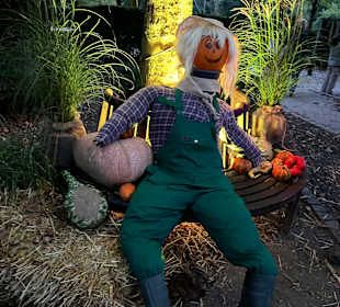 Herbstlichter Brückenkopfpark