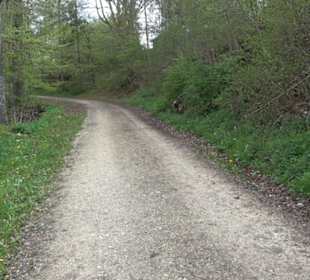 Premiumwanderweg Hochgebürzelt