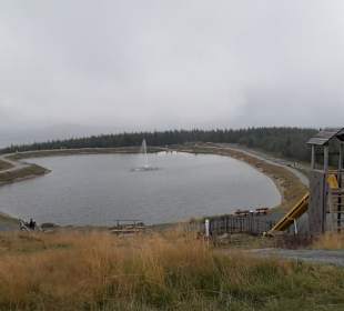 Oben auf dem Wurmberg