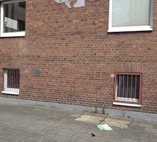 Haus Treuer Husar Blau-Gelb