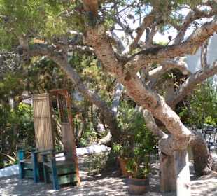 Hostal Restaurante la Torre Toller Ausblick