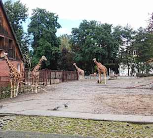 Zoo Wrocław