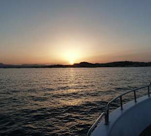 Auf der Rückreise von Mahmya