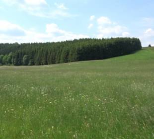 Großes Rinnental