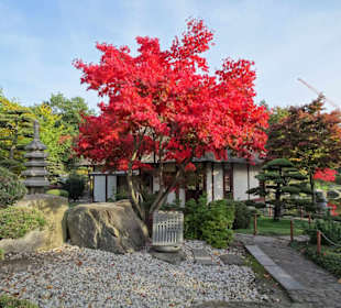 Im Japanischen Garten von "Planten un Blomen"