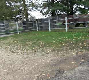 Freizeitheim Diepoldsburg