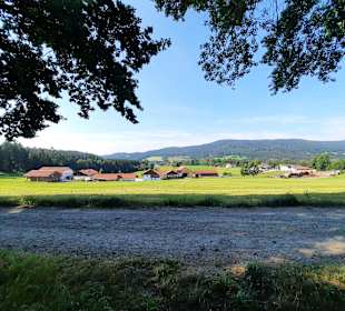 Wandern Arnbruck