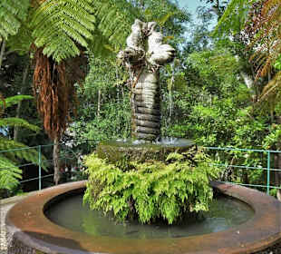 Rundgang durch den Monte Palace Tropical Garden
