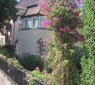 Altstadt Colmar Petit Venice