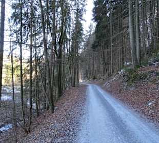 Forstweg durch das Bärental