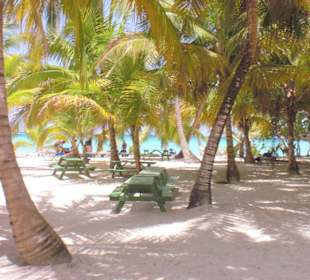 Bild vom Ausflug nach Saona