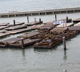 Einfach faul herumliegen