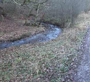 Ochsenweiher Rundweg