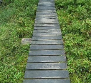 Steg zum dystrophen See