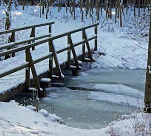 Im Winter