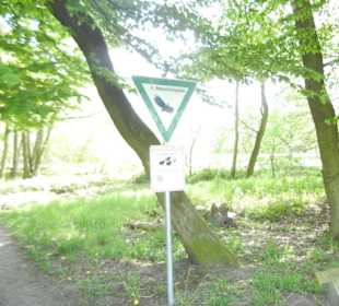Naturschutzgebiet Boberger Niederung