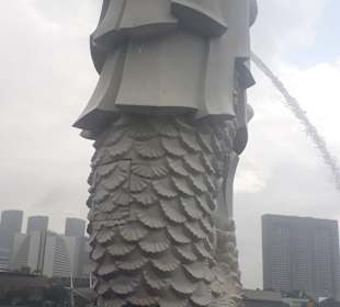 Merlion MBS