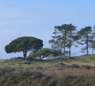 Unterwegs im Ria Formosa Natural Park